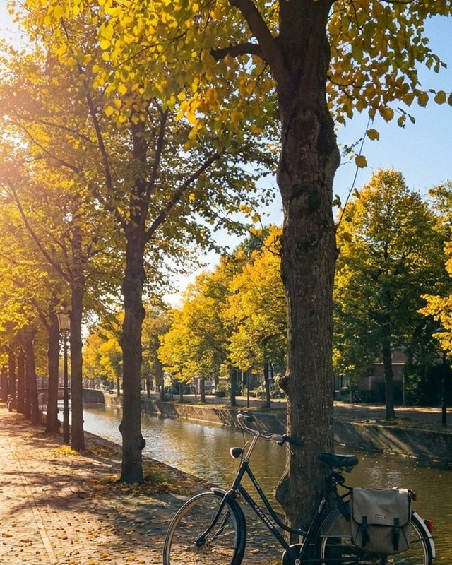 A bicycle against a tree on a canal in autumn light, a daily photo